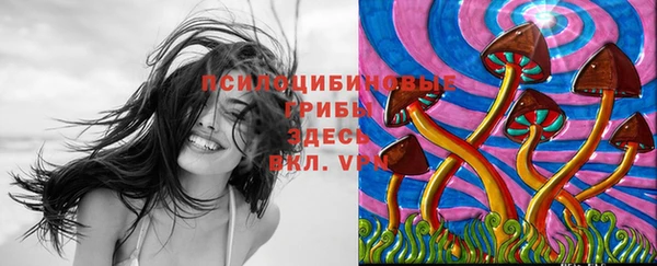 прущая мука Каменногорск